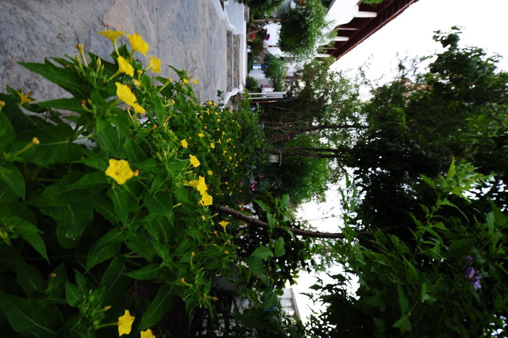 Maritim Hotel Golturkbuku Exterior photo